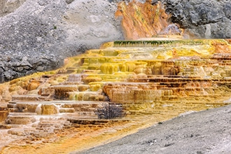 Parco Yellowstone, Mammoth Hot Springs