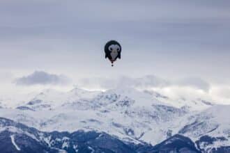 Mongolfiere a Mondovì in volo