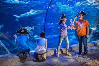 Carnevale a Gardaland Sea Life Aquarium