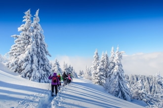 Ciaspolare nel bosco Winter Camp