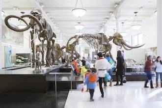 American Museum of Natural History, Manhattan. Ph. MarleyWhite