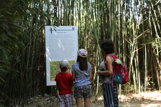 Labirinto della Masone con bambini