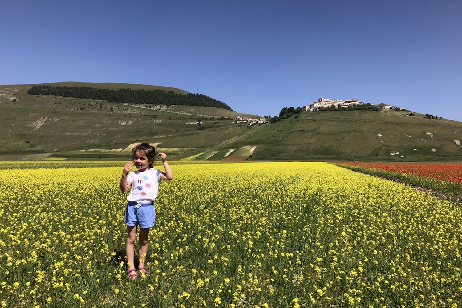 Le più belle fioriture in Italia con i bambini