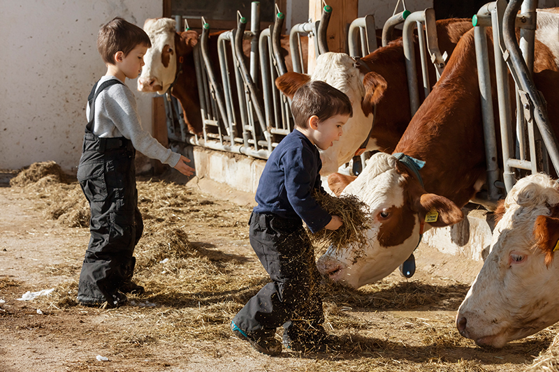 Agriturismi con animali per bambini, masi Gallo Rosso in Alto Adige