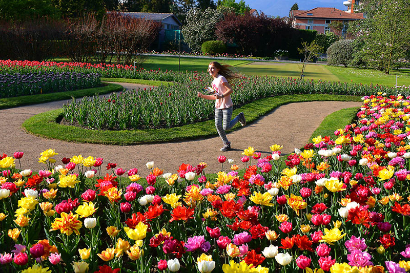 Giardini in fiore di Villa Taranto, Piemonte Giardini in fiore di Villa Taranto, Piemonte