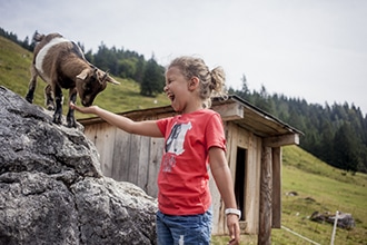 In Tirolo con gli animali, caprette