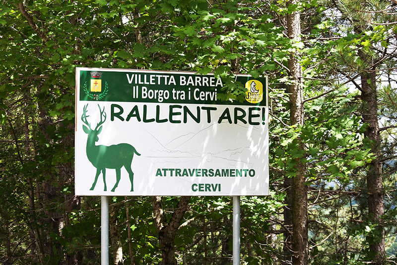 Cartello attraversamento cervi a Villetta Barrea
