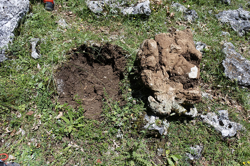 escursione guidata con bambini nel Parco d'Abruzzo sulle tracce degli animali