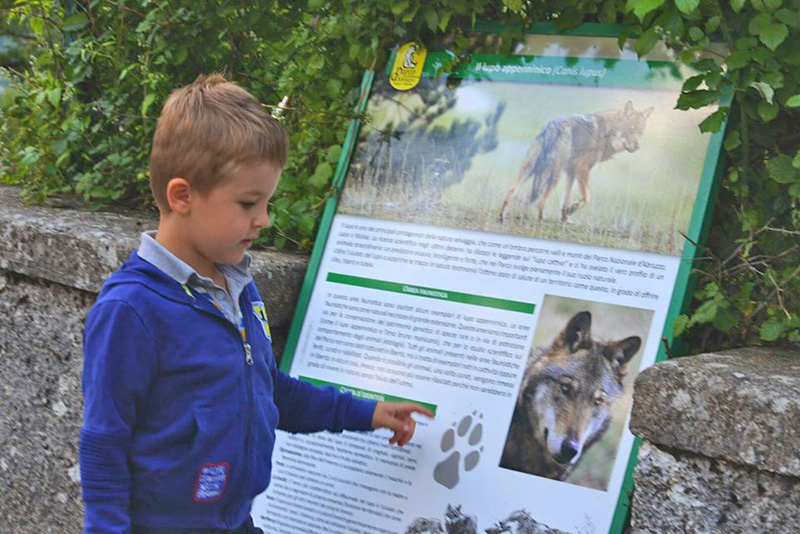 Riserva lupi Civitella Alfedena con i bambini