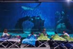 Notte con gli squali all'Acquario di Genova