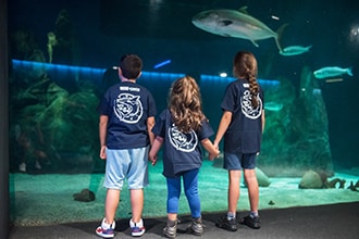 Notte con gli squali all'Acquario di Genova