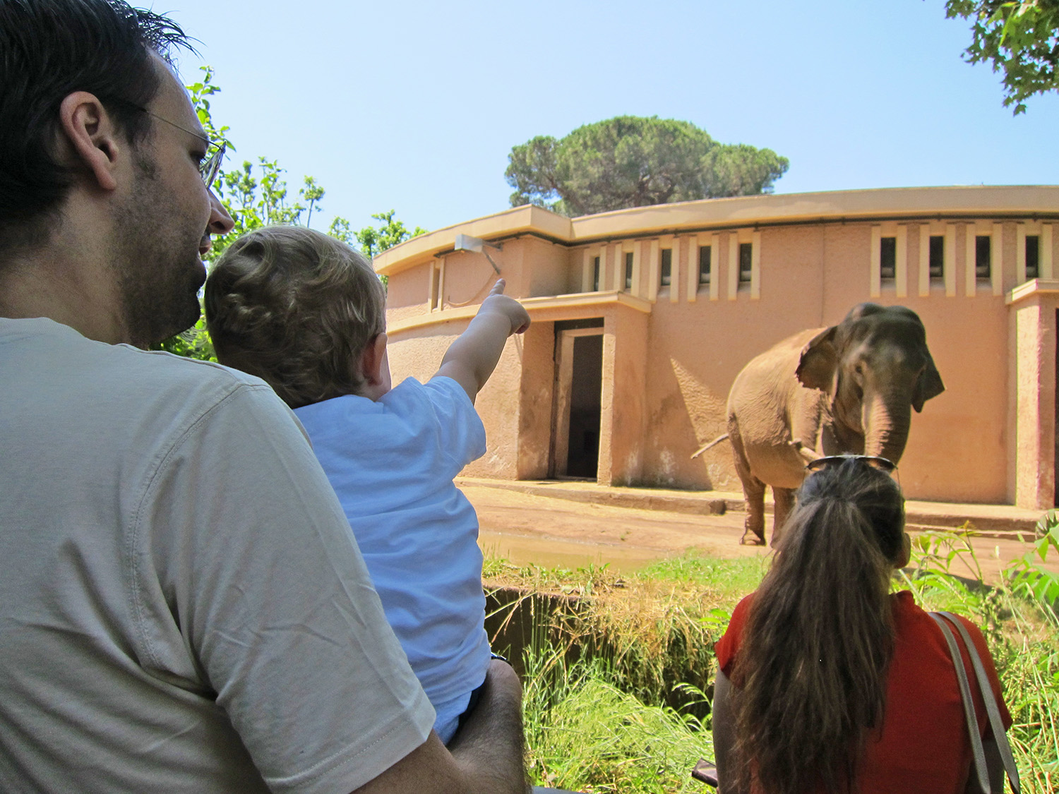 Roma con i bambini piccoli 0-3 anni, il Bioparco