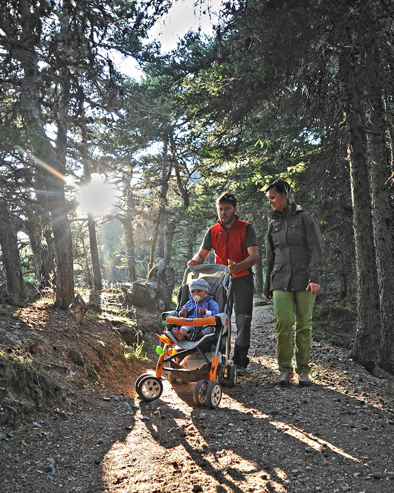 Sentieri per passeggino a Torgnon