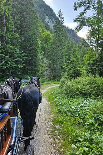 In carrozza in Val Canale