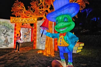This is Wonderland 2024, Pinocchio back to wood, ingresso