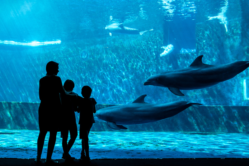 Acquario di Genova