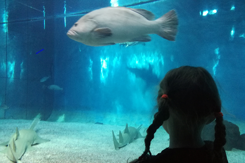 Acquario di Genova con i bambini