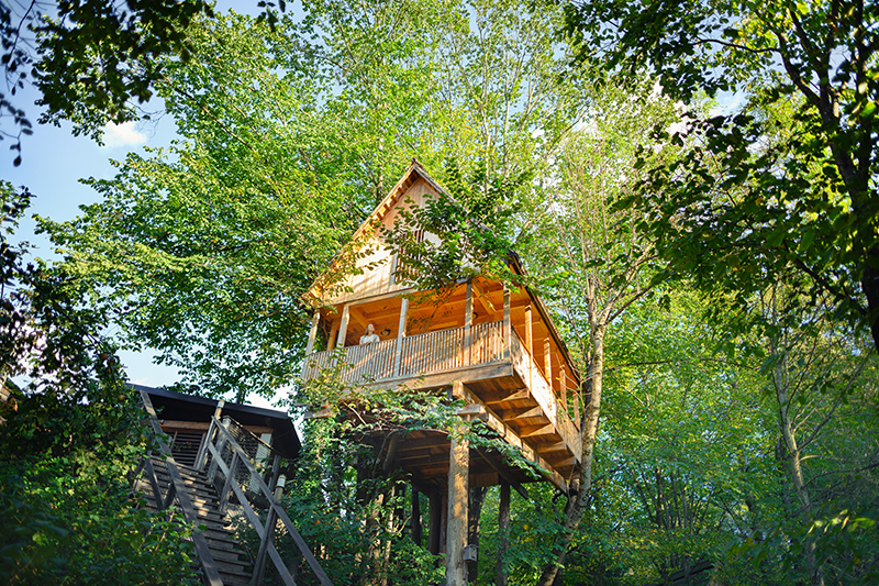 Casa sull'albero lago di Bled
