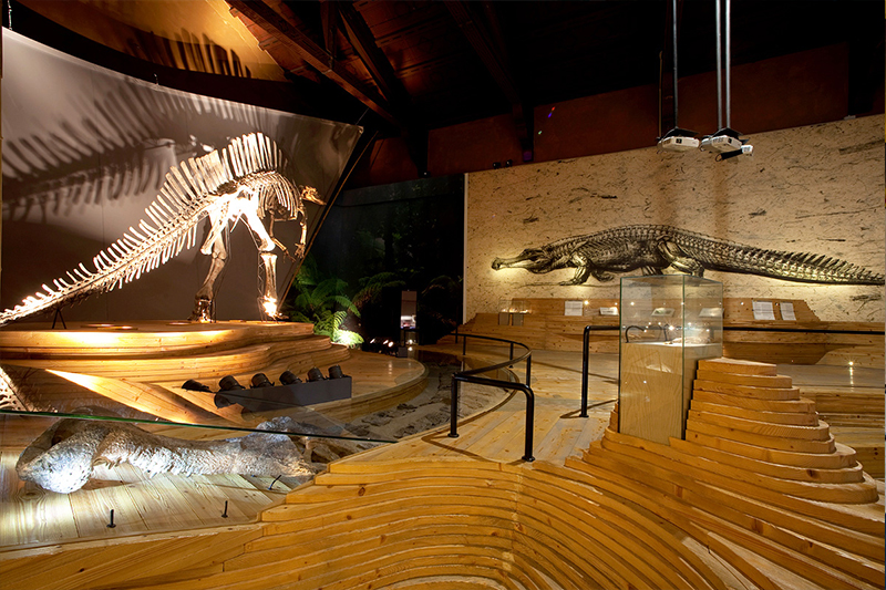 Museo di Storia Naturale