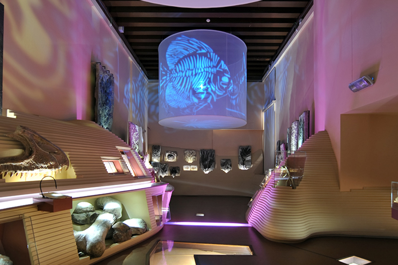 Museo di Storia Naturale