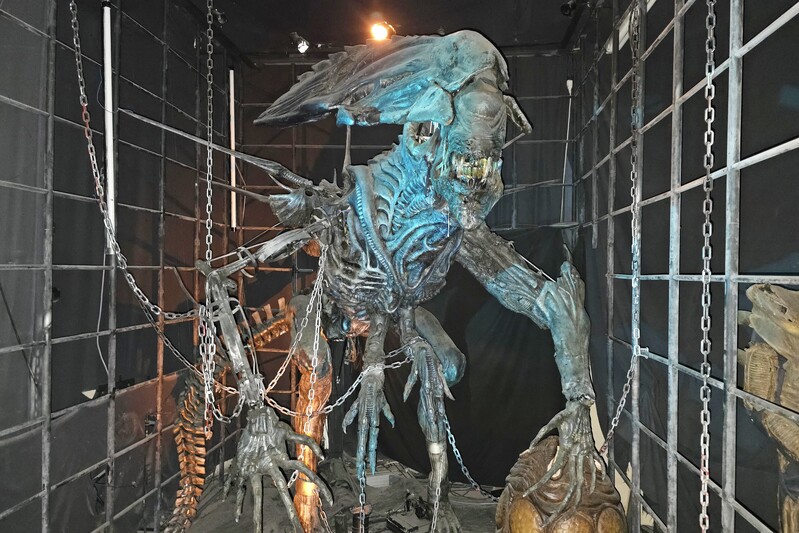 Lione: il Museo del Cinema