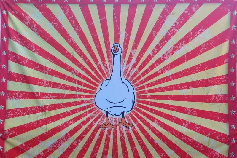 La fiera dell'oca di Mirano (VE)