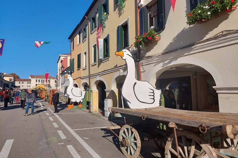 La fiera dell'oca di Mirano (VE)