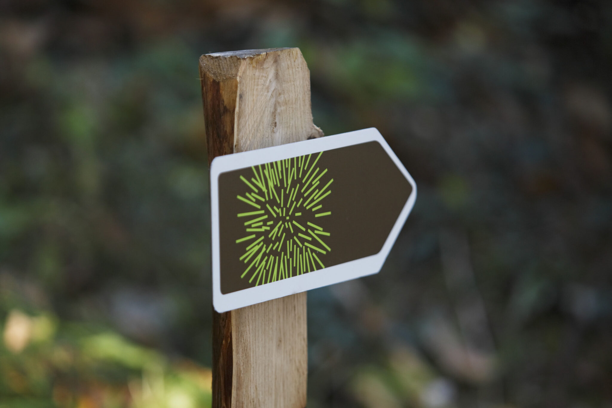 Sentieri delle castagne a Lana e dintorni