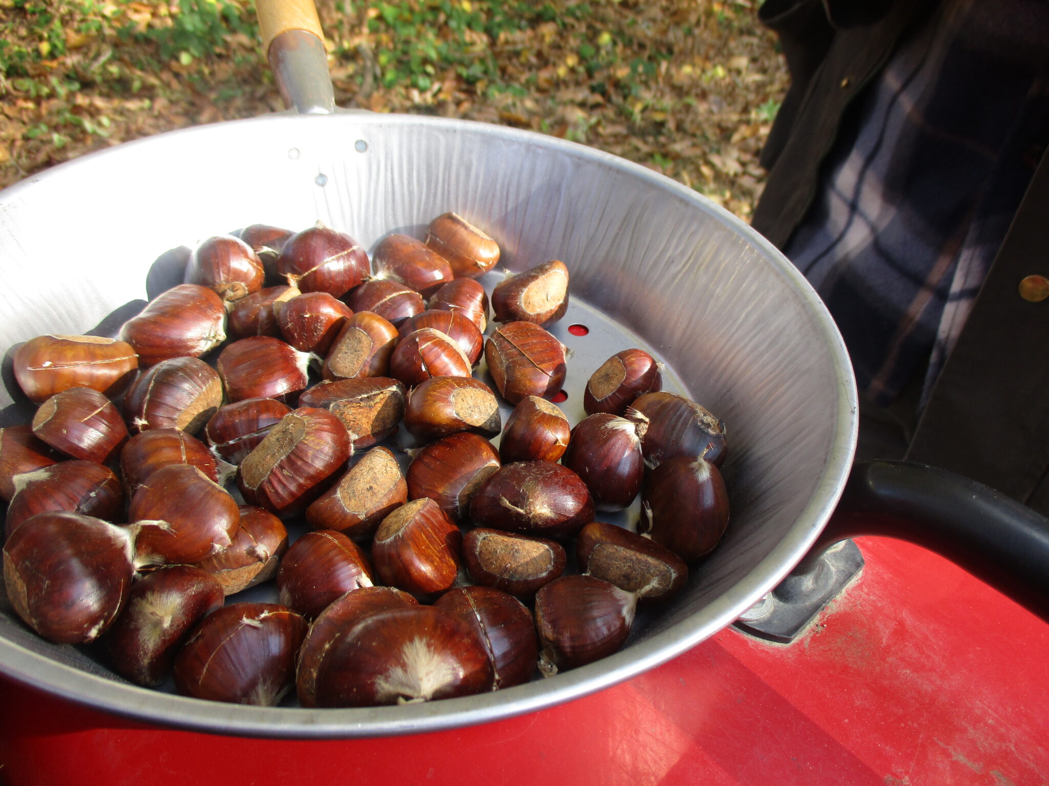 Castagne in Alpe Cimbra