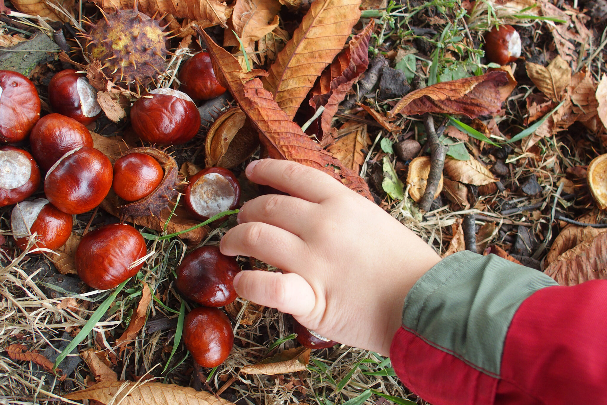 Castagne con i bambini, tutti i posti