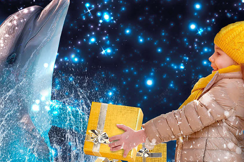 Parchi divertimento invernali in Emilia Romagna, Oltremare