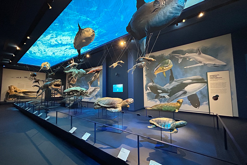 Museo della Natura e dell'Uomo