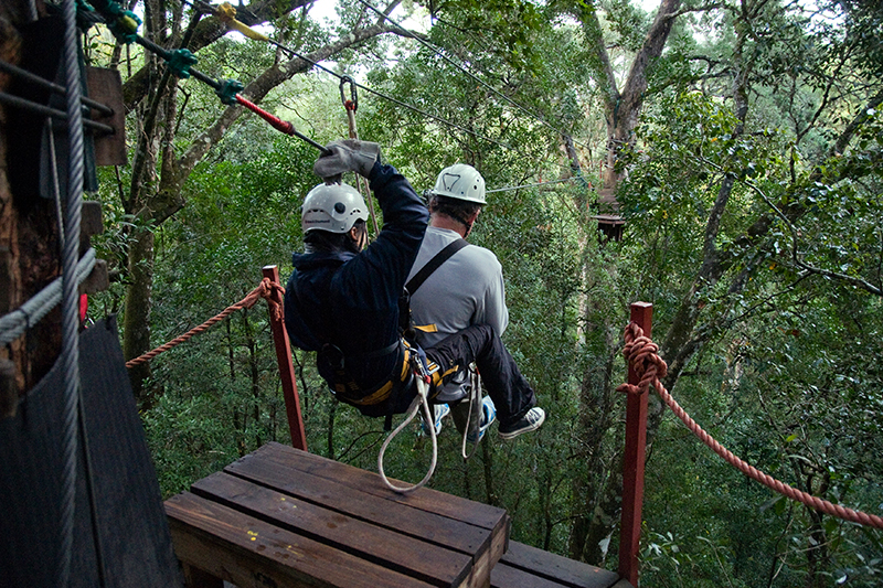 Esperienza adrenalinica in Sudafrica