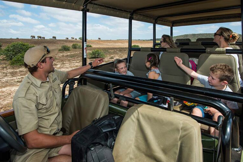 Safari nella Shamwari Game Reserve