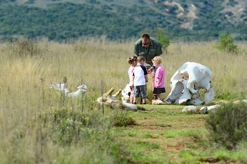 Junior Rangers
