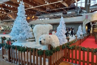 Grand Tour Italia a Bologna con i bambini: gli eventi a tema Natale