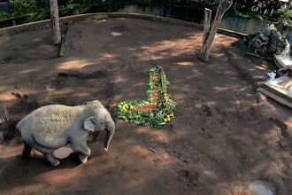 La Befana al Bioparco di Roma