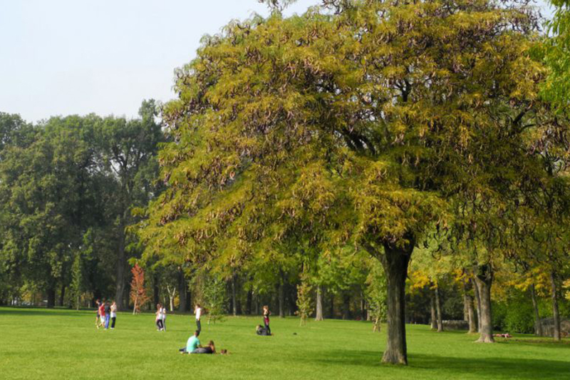 Giardini Margherita, Bologna © Bologna Welcome