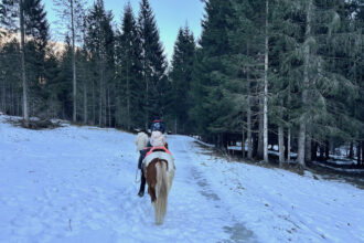 friuli venezia giulia inverno attivita famiglie passeggiata a cavallo al maneggio Khlope di Sauris