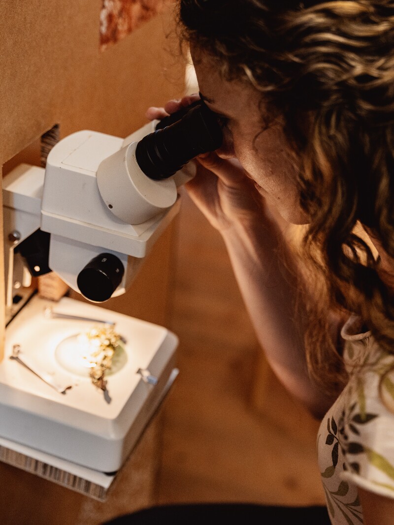 Una Notte al Parco © Brandnamic Alpine Pearls