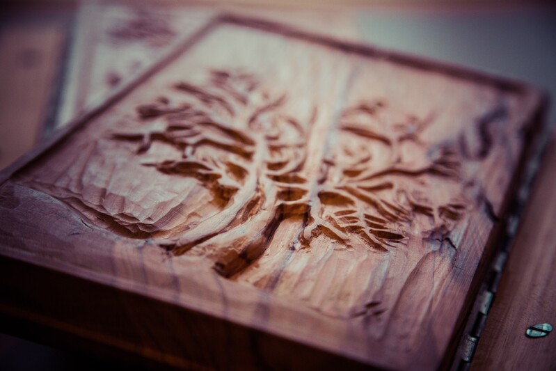 Una Notte al Parco © Fototeca Trentino Sviluppo