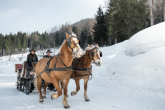 Slitta_trainata_dai_cavalli_come_in_una_favola_Agritur_Bontempelli_maneggio_Archivio_APT_Val_di_Sole_Ph_Elisa_Fedrizzi (1)2x