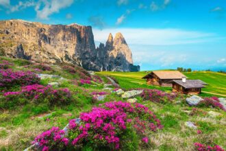 Alpeggio Alpe di Siusi in estate