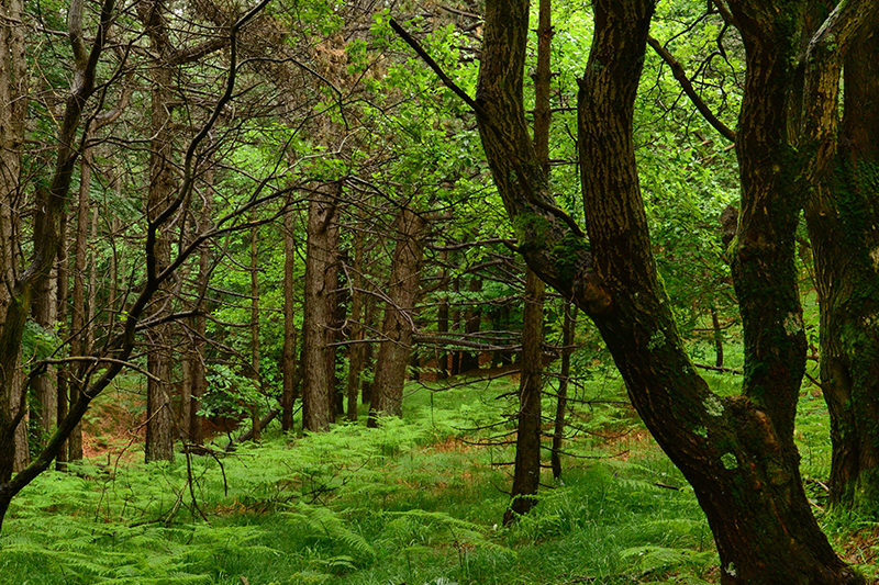 Parchi Liguria bambini, Parco Beigua