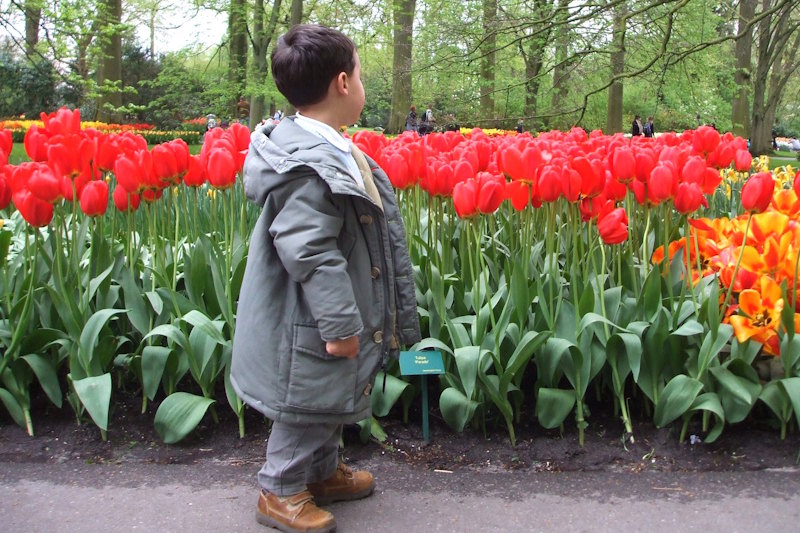Lisse Olanda con bambini