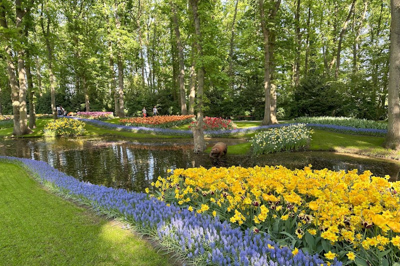 Parco Keukenhof in Olanda