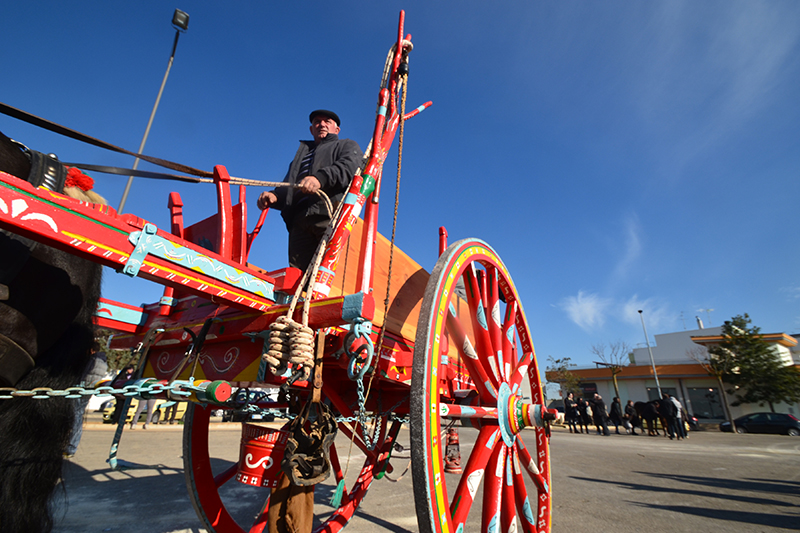 Novoli, Foscara © P. Bertini