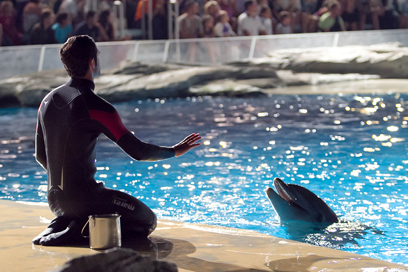 Oltremare di Riccione
