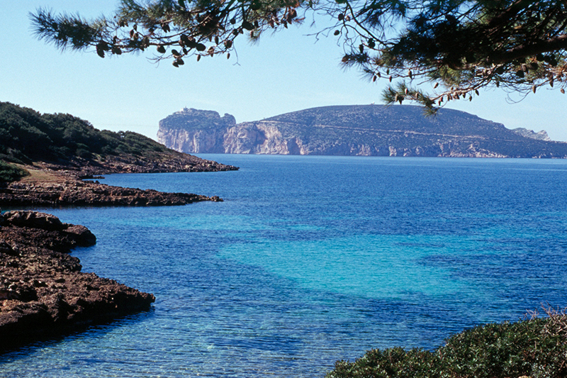 Spiagge per bambini in Sardegna, Alghero