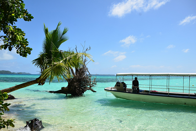 Spiagge in Sardegna per bambini, gita in barca a Palau